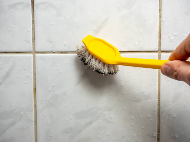 Best Fast Mold Removal  in Blair, NE