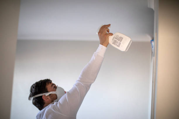 Best Mold Testing and Removal  in Blair, NE