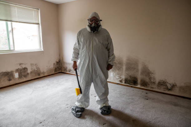 Best Local Mold Removal Service  in Blair, NE
